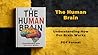 The Human Brain: ...