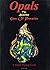 Opals The Beautiful Gem of ...