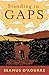 Standing in Gaps