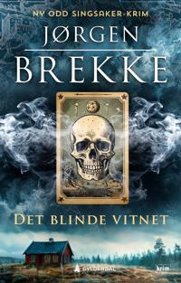 Det blinde vitnet (Odd Singsaker, #8)