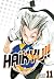 Haikyu!! Tom 11