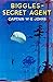 Biggles - Secret Agent (Biggles, #19)