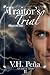 A Traitor's Trial (A Court ...