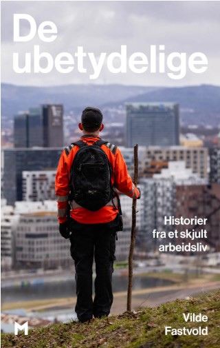 De ubetydelige: Historier fra et skjult arbeidsliv (Hardcover)