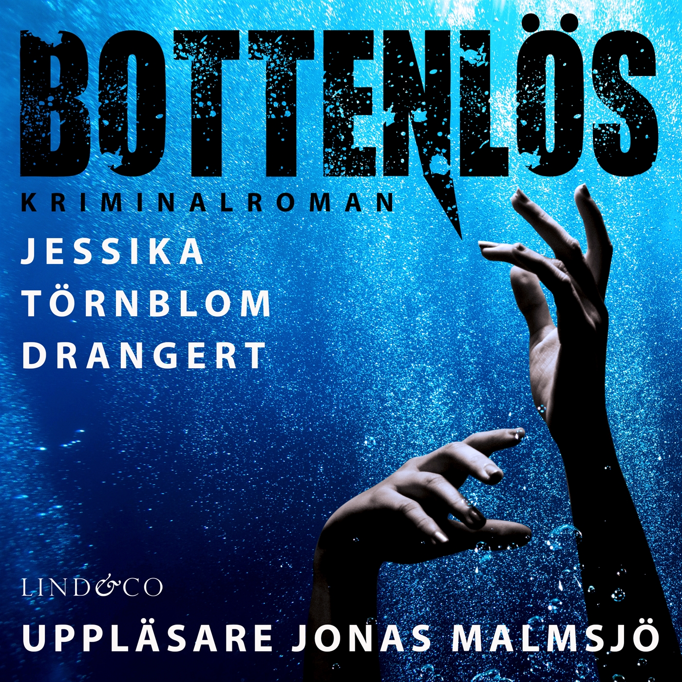 Bottenlös (Audiobook)
