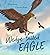 Wedge-tailed Eagle by Christina Booth