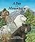Day on the Mountain, A (Day In the Habitat)