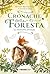 Cronache della foresta. Le memorie perdute (L'Acchiappastorie Vol. 1) (Italian Edition)