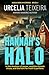 Hannah's Halo: A Thrilling Christian Mystery of Faith Ambition and Danger (ANGUS REID MYSTERIES)