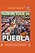 GUÍA DE VIAJE DE PUEBLA 202...