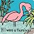 If I were A Flamingo... by Kate Rhodes If I were A Flamingo... by Kate Rhodes