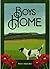 Boys Home by Patsy Crawford