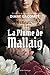 La plume de Mallaig