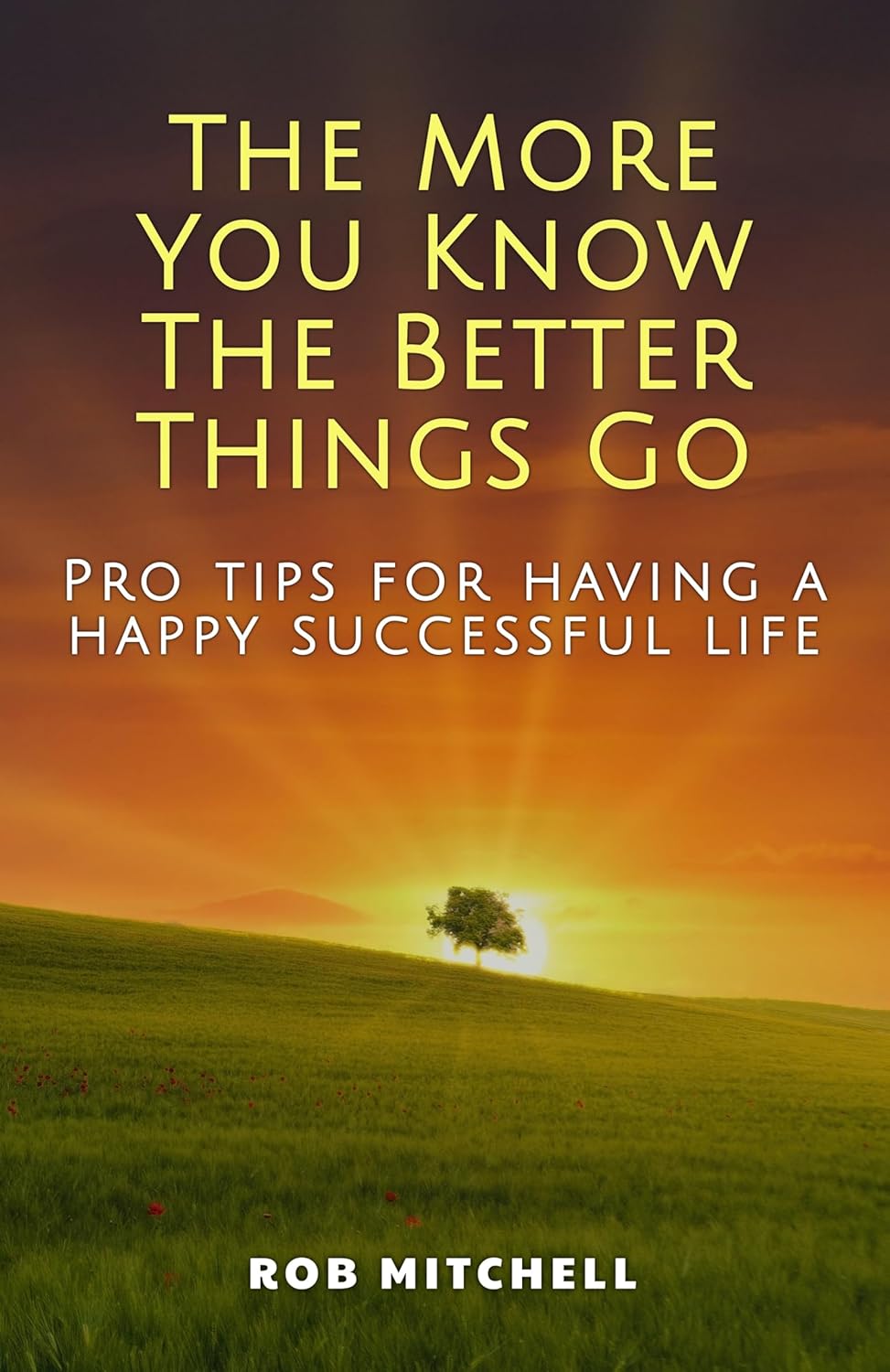 THE MORE YOU KNOW THE BETTER THINGS GO: Pro tips for having a happy successful life