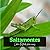 Saltamontes: Libre illustra...