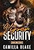 Luca (Viper Security Book 1)