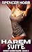Harem Suite: a harem fantas...