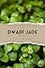 A Beginner Friendly Care Guide to Dwarf Jade Bonsai by Victor Flores