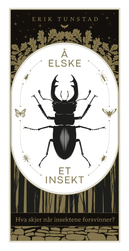 Å elske et insekt. Hva skjer når insektene forsvinner?