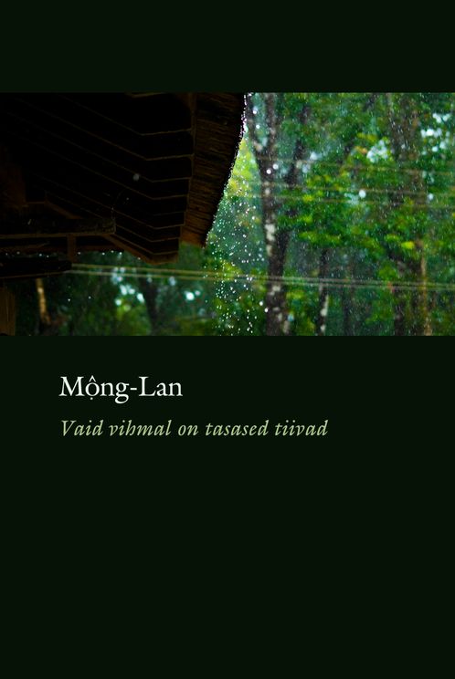 Vaid vihmal on tasased tiivad (Paperback)