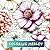 Coloring Medley: An Eclecti...