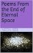 Poems From the End of Eternal Space by Neon seer