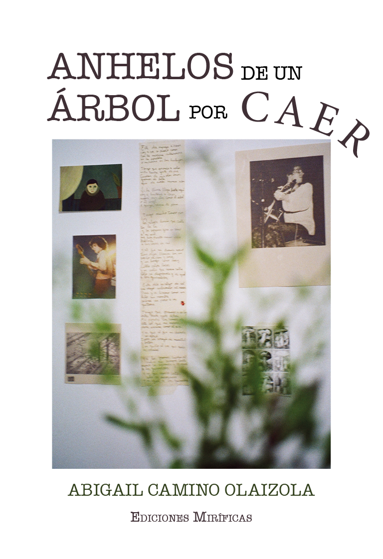 Anhelos de un árbol por caer (Paperback)