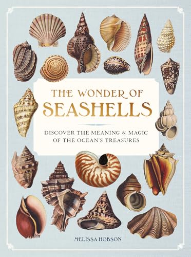 The Wonder of Seashells: Discover the Meaning & Magic of the Ocean’s Treasures (Hardcover)