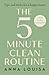 The 5 Minute Clean Routine by Anna Louisa
