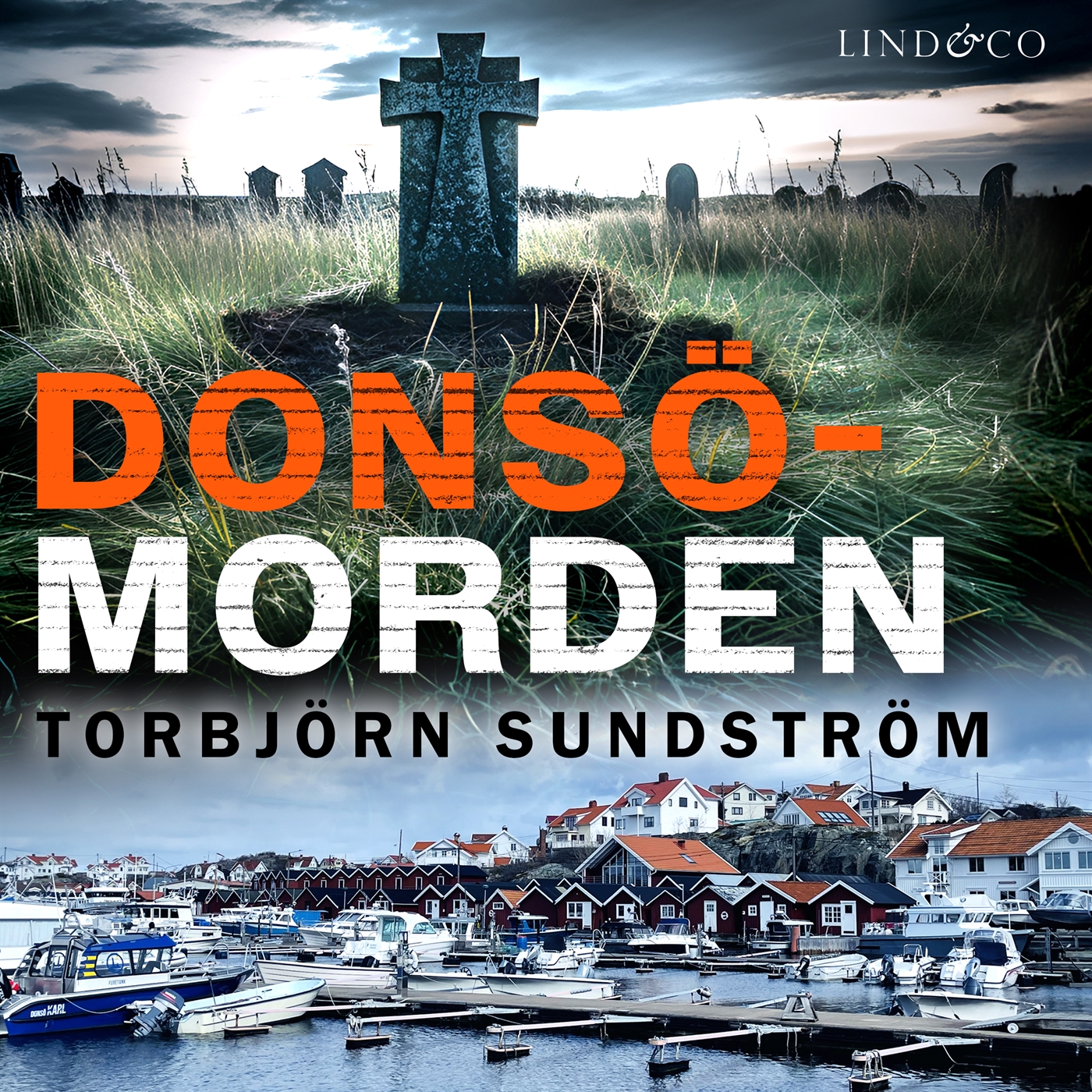 Donsömorden (Elon Havfrost, #1)