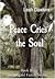 Peace Cries the Soul by Leah   Dawkins