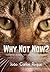 Why Not Now? Memórias, poes...