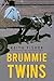 Brummie Twins