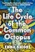 The Life Cycle of the Common Octopus