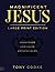 Magnificent Jesus (Large Pr...