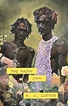 boy maybe: poems Book cover for boy maybe: poems