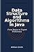 Data Structure and Algorithms in Java: From Basics to Expert Proficiency