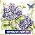 Coloring Medley: An Eclecti...