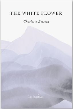 White Flower (Paperback)