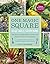 One Magic Square Vegetable Gardening: The Easy, Organic Way to Grow Your Own Food on a 3-Foot Square