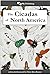 The Cicadas of North America