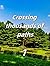 Crossing thousands of paths1