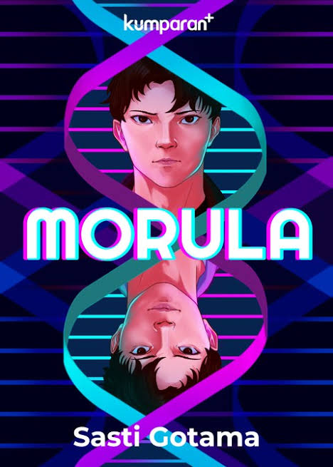 Morula