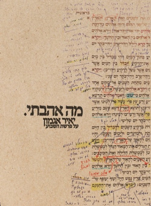 מה אהבתי: על פרשת השבוע