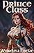 Prince Class: A Spicy Dunge...