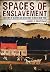 Spaces of Enslavement: A History of Slavery and Resistance in Dutch New York (New Netherland Institute Studies)