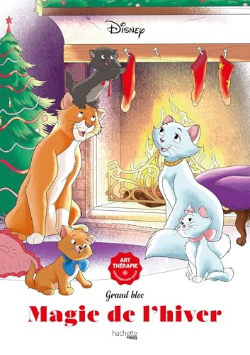 Magie de l'hiver (Paperback)