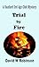 Trial by Fire (Sanford Third Age Club Mystery #14)