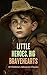 Little Heroes, Big Bravehea...