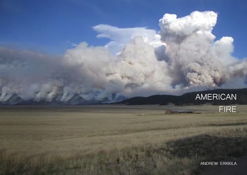 American Fire (Kindle Edition)